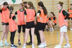 Turniej-Piłki-Ręcznej-Dziewcząt-Szkół-Podstawowych-–-Podkowa-Leśna-27012023-059